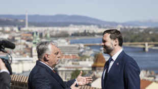 Vance 'qui per aiutare Orban e dare un segnale ai burocrati Ue'