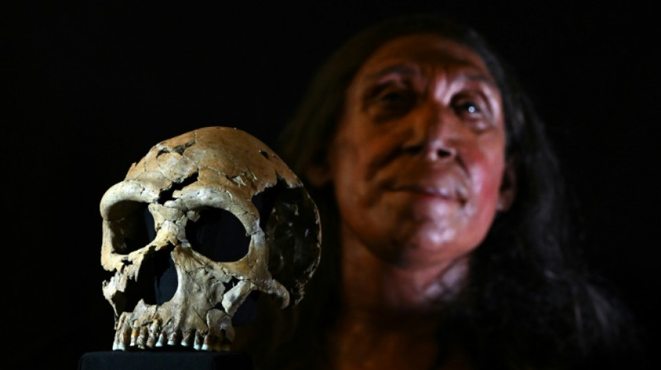 Neandertaler perfektionierten schon vor 125.000 Jahren Fettgewinnung