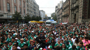 Scuffles at Mexico's World Cup fan zone as thousands jostle for entry