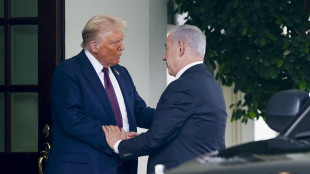 'Trump a Bibi, sei sempre così fottutamente negativo'