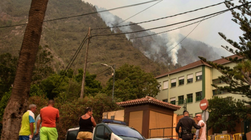 Feu &agrave; Tenerife: les pompiers prot&egrave;gent des maisons, la qualit&eacute; de l'air affect&eacute;e