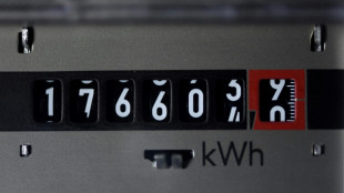Bundesnetzagentur will Strom- und Gasnetzbetreibern h&ouml;here Gewinne erm&ouml;glichen
