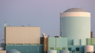 Media, offerta slovena a Croazia per centrale Krsko 2