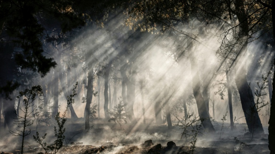 Grèce: l'île de Chios, en proie à des incendies, placée en état d'urgence