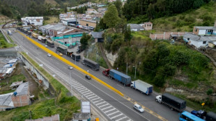 Long truck lines at Colombia-Ecuador border as tariffs loom