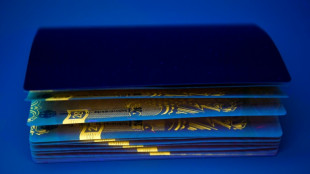 Schleuserbande setzt auf Scheinehen: Ermittler rücken zu Großrazzia aus