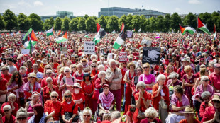 Tens of thousands rally for Gaza in Netherlands, Belgium