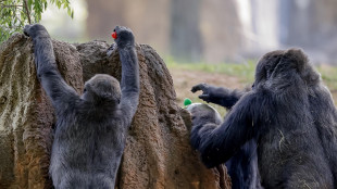 A volte le amicizie hanno un prezzo da pagare,in stress e salute