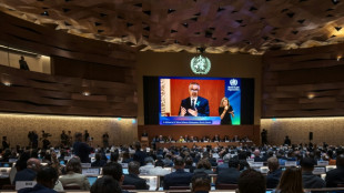 Chefe da OMS pede 'clem&ecirc;ncia' a Israel na guerra em Gaza