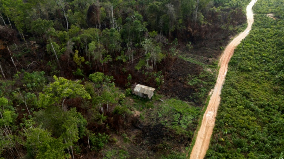 El &aacute;rea incendiada en Brasil en 2024 fue un 62% mayor que el promedio de cuatro d&eacute;cadas