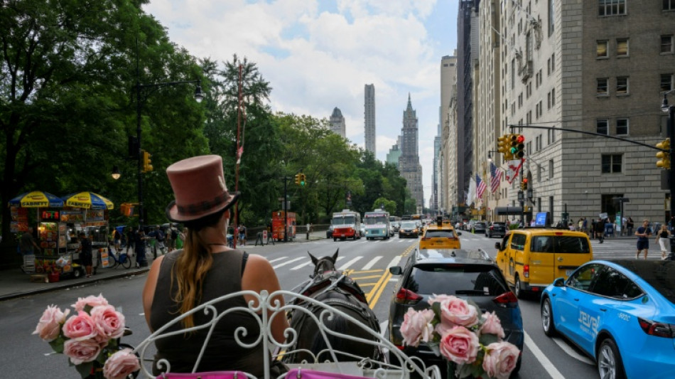 La menace plane &agrave; nouveau sur les cal&egrave;ches de Central Park