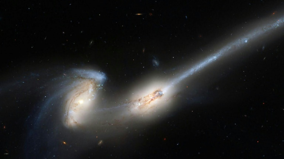 La V&iacute;a L&aacute;ctea posiblemente escapar&aacute; a una colisi&oacute;n con Andr&oacute;meda 