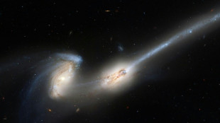 La V&iacute;a L&aacute;ctea posiblemente escapar&aacute; a una colisi&oacute;n con Andr&oacute;meda 