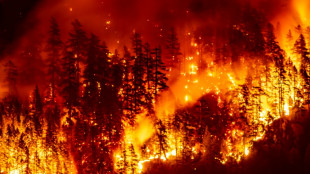 Les feux de for&ecirc;t d&eacute;t&eacute;riorent la qualit&eacute; de l'air &agrave; des milliers de kilom&egrave;tres, selon l'ONU 