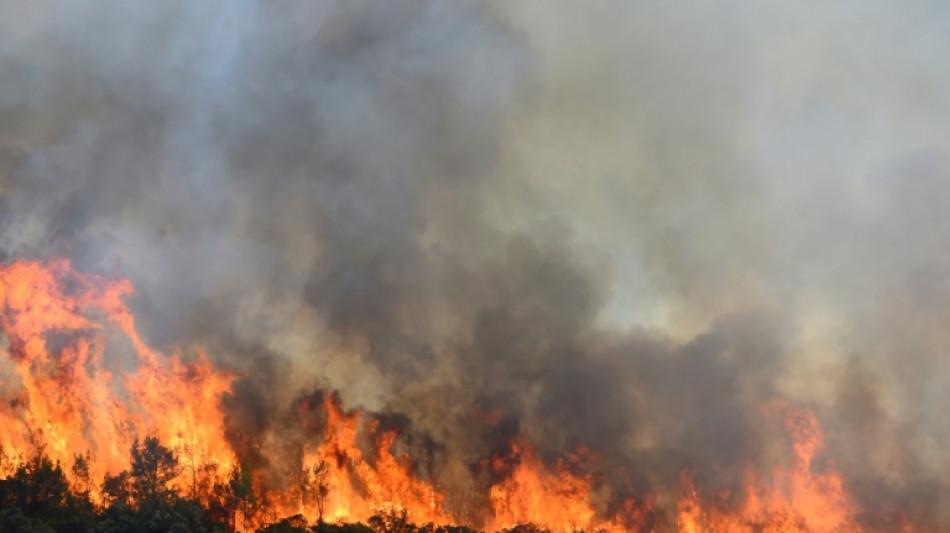 Incendie dans l'H&eacute;rault: le feu "ne progresse plus" apr&egrave;s une nuit de lutte