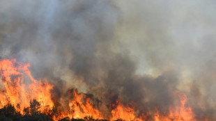 Incendie dans l'H&eacute;rault: le feu "ne progresse plus" apr&egrave;s une nuit de lutte