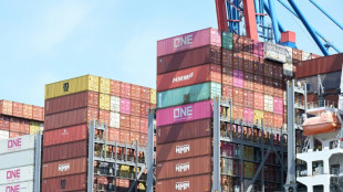 Deutschlands Exportüberschuss in diesem Jahr stark gesunken