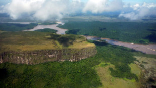 Venezuela: le "Tsar de la beaut&eacute;" d&eacute;fend une f&ecirc;te controvers&eacute;e dans un parc national