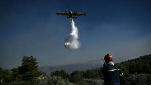 Feuerwehr k&auml;mpft weiter gegen Waldbr&auml;nde in Griechenland und in der T&uuml;rkei