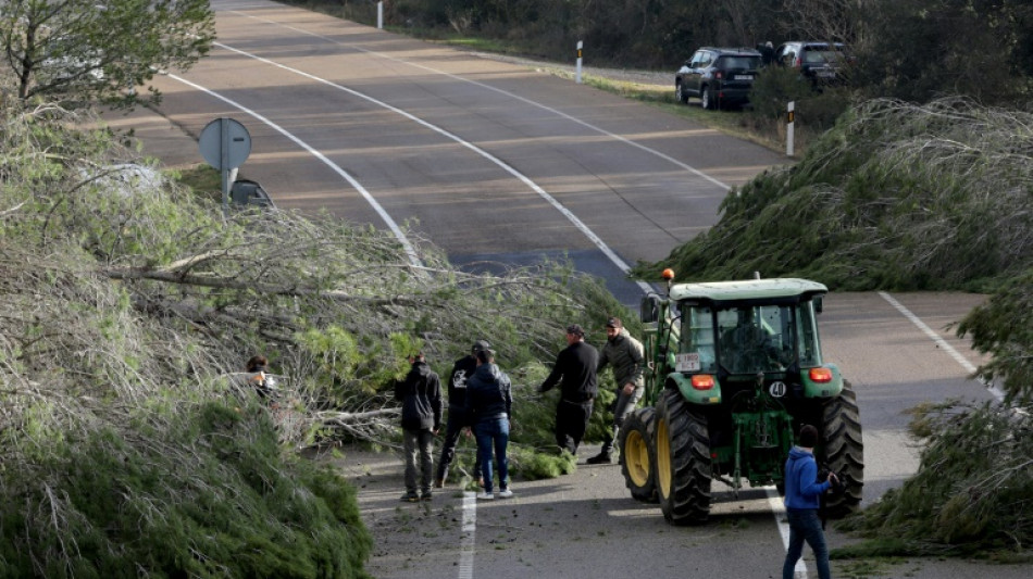 Agricultores espa&ntilde;oles cortan carreteras cerca de la frontera con Francia