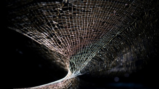 Artista argentino presenta en Nueva York obra sobre las ara&ntilde;as para denunciar crisis ambiental