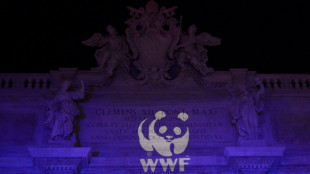 Pr&eacute;sidentielle: le WWF veut soumettre l'action publique &agrave; un "passe climatique"