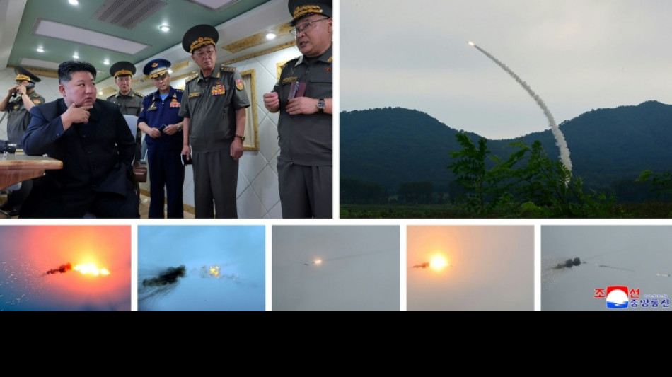 Staatsmedien: Nordkorea testet zwei "neue" Luftabwehrraketen