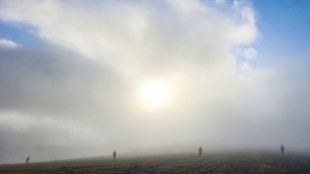 Turqu&iacute;a recupera la caja negra tras el accidente de avi&oacute;n libio con altos mandos militares