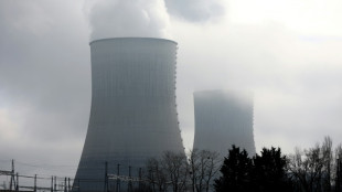 La AIE prev&eacute; un r&eacute;cord de producci&oacute;n de electricidad nuclear en 2025