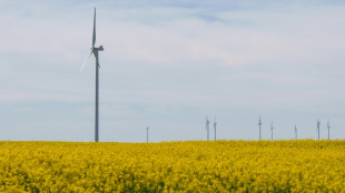 Las energ&iacute;as renovables, en el punto de mira tras el gran apag&oacute;n en Espa&ntilde;a