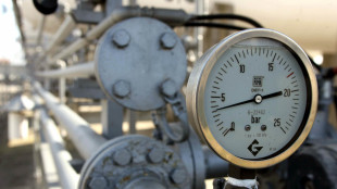 Il prezzo del gas in avvio &egrave; in forte calo a 48 euro al megawattora