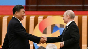 Conflitos no mundo 'refor&ccedil;am' v&iacute;nculo R&uacute;ssia-China, diz Putin