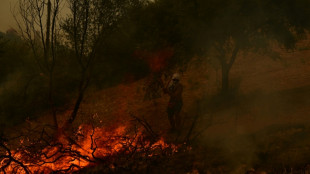 Grecia enfrenta m&aacute;s de 20 incendios en una jornada dificultada por los fuertes vientos