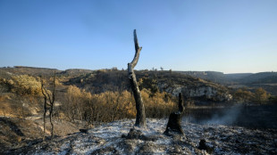 Le feu de l'Aude est sous contr&ocirc;le mais pas encore &eacute;teint