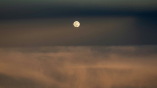 Report du d&eacute;collage vers la Lune pour une nouvelle entreprise am&eacute;ricaine