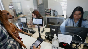 El Salvador ha ganado USD 443 millones por alza del bitcóin desde 2021