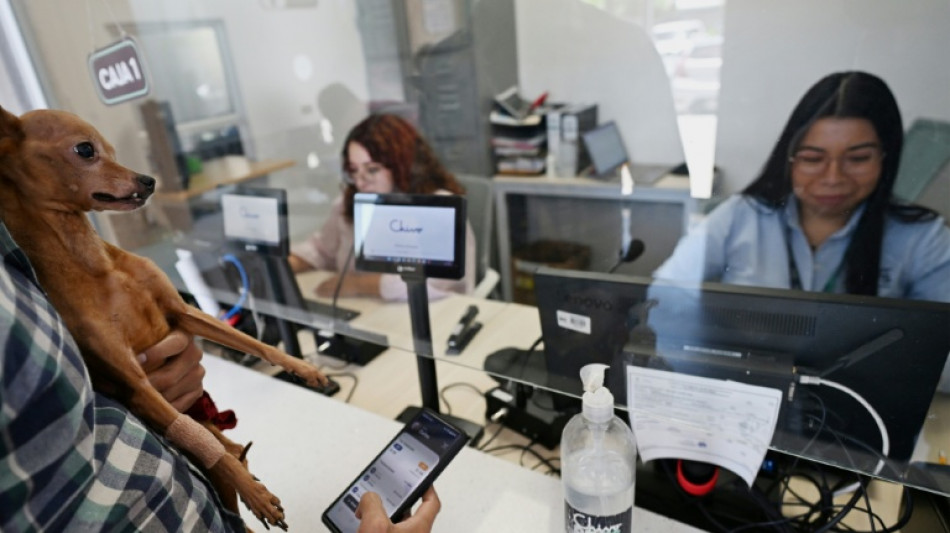 El Salvador lucrou US$ 443 milhões com alta do bitcoin desde 2021