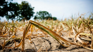 St&auml;dte- und Gemeindebund fordert Ma&szlig;nahmen gegen Wasserknappheit