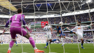 Fernandez sends Chelsea into FA Cup final to lift gloom after Rosenior sacking