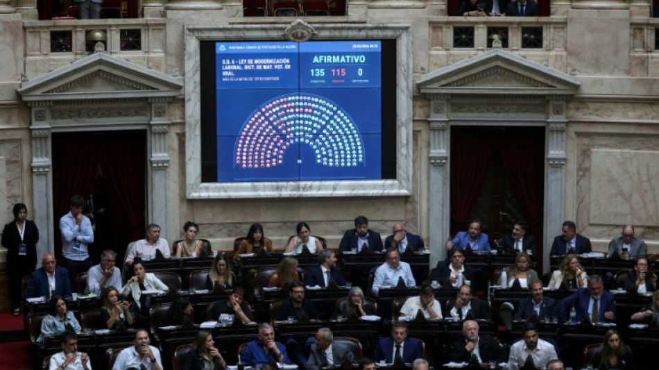 Avanza reforma laboral de Milei en C&aacute;mara de Diputados tras huelga en Argentina