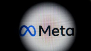 Meta (Facebook) fait le point sur ses efforts de construction du m&eacute;tavers