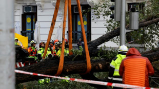 Una fallecida por la caída de un árbol en Madrid al paso de la tormenta Ciarán