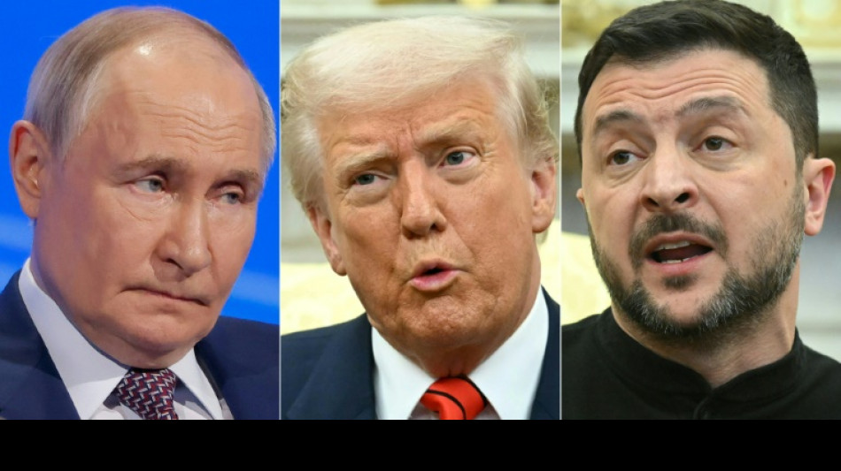 Friedensdiplomatie: Trump k&ouml;nnte Putin und Selenskyj ab n&auml;chster Woche treffen
