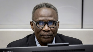 Soudan: un milicien accus&eacute; d'avoir commis des crimes avec "enthousiasme"