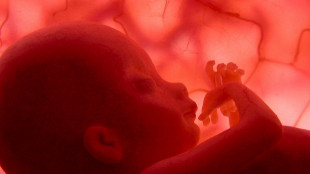 Intervento in utero 'Robin Hood' aiuta sopravvivenza gemelli