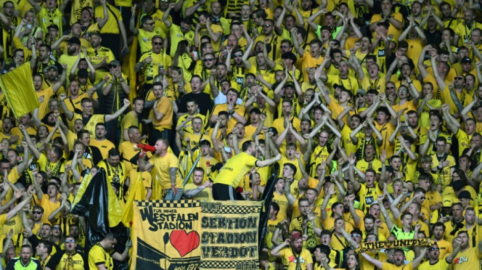 Dortmund's Terzic urges calm ahead of title 'euphoria'