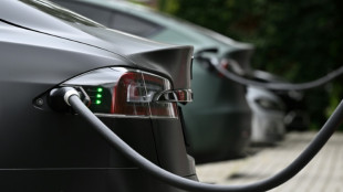 Les r&eacute;sultats de Tesla plomb&eacute;s par co&ucirc;ts de production et baisses de prix