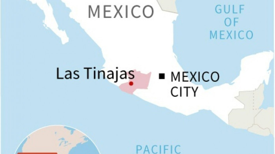 19 killed in shooting in central Mexico