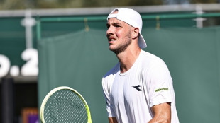 Starker Struff macht Duell mit Alcaraz perfekt