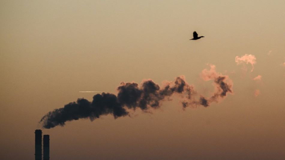 La inversi&oacute;n para protecci&oacute;n ambiental debe m&aacute;s que duplicarse para 2025